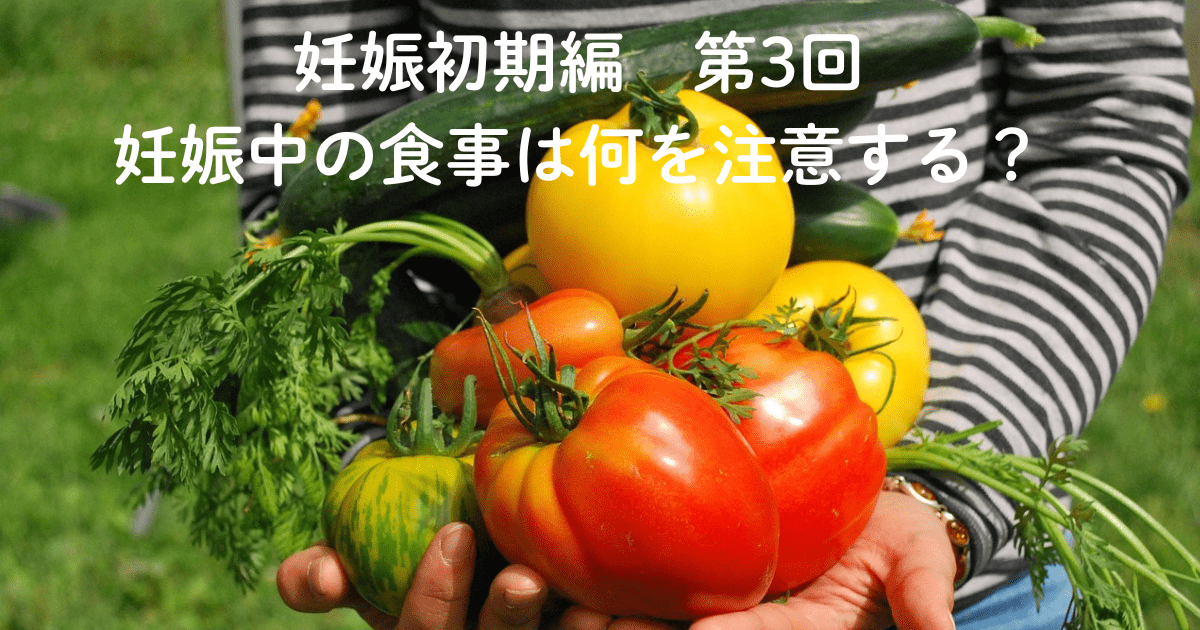 妊娠初期編・第3回「妊娠中の食事は何を注意する?」