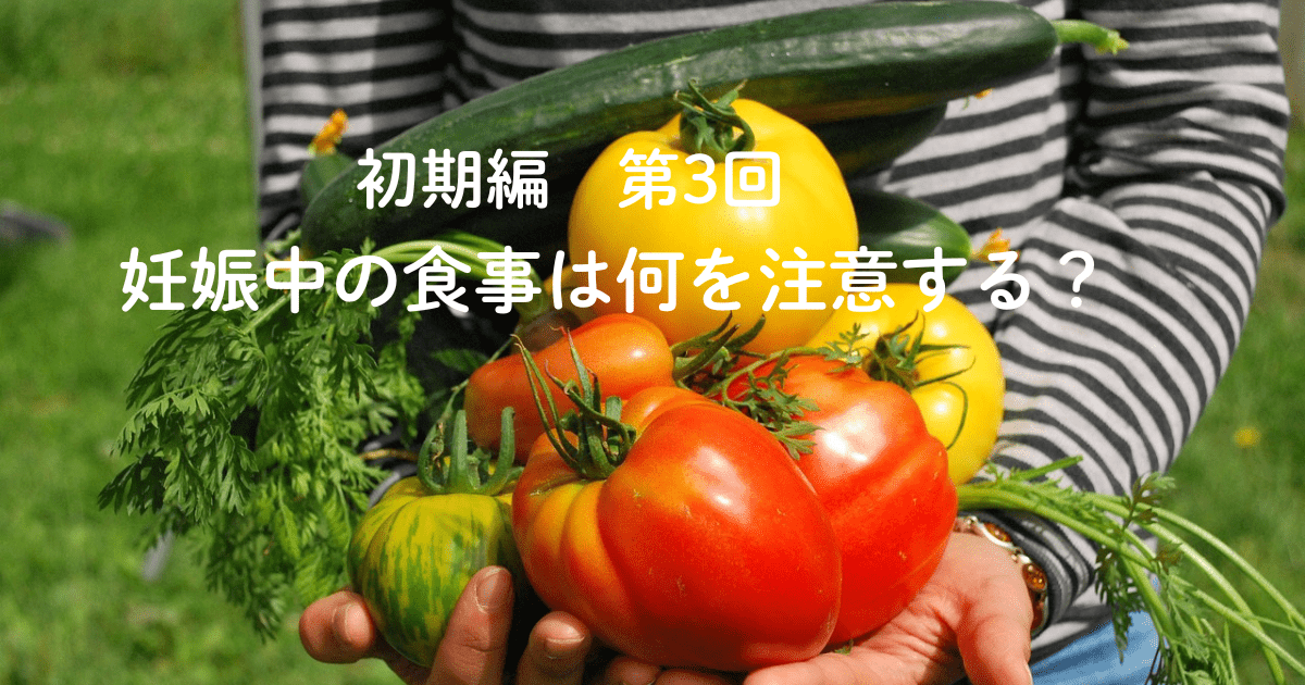 妊娠初期編　第3回　妊娠中の食事は何を注意する？