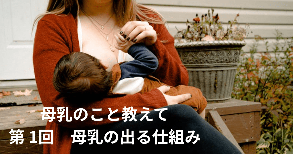母乳のこと教えて  第1回 母乳の出る仕組み