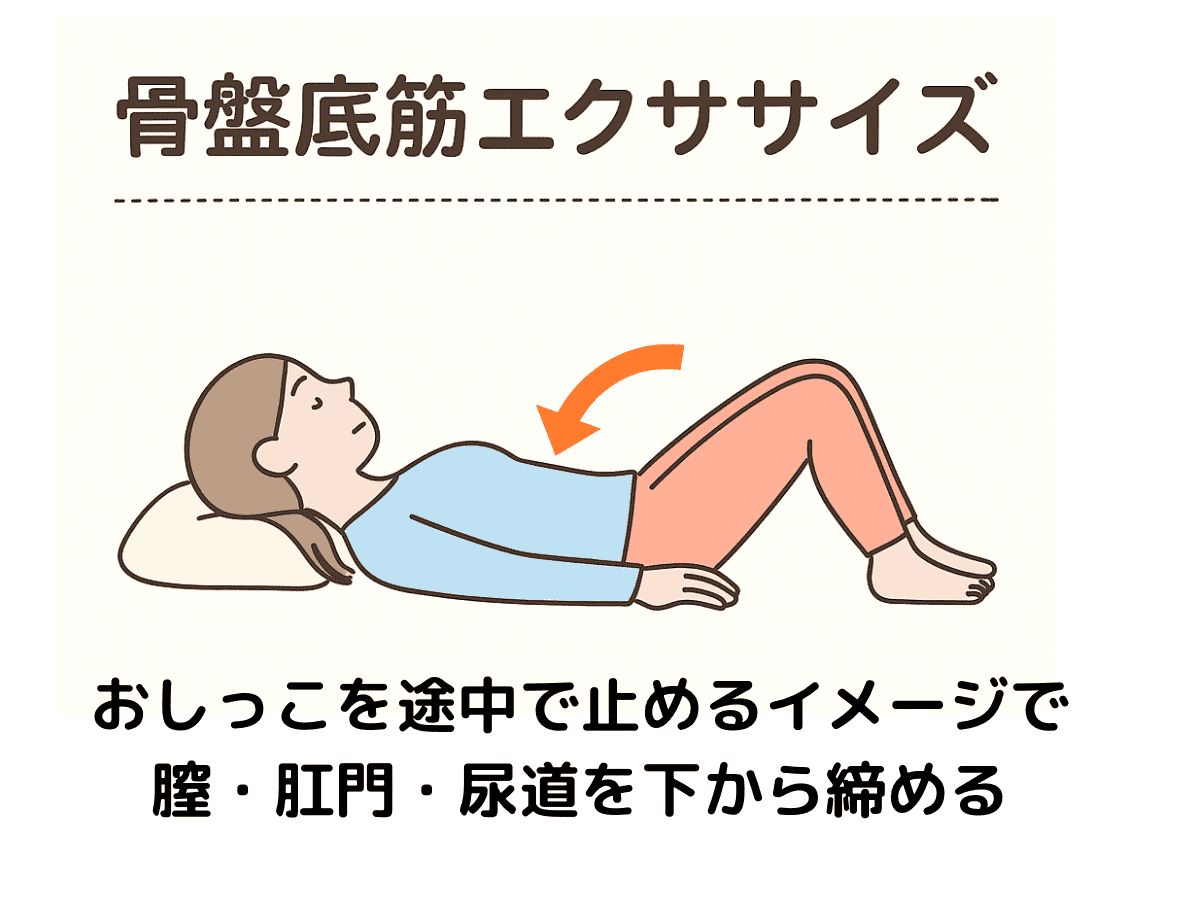 骨盤底筋群エクササイズ