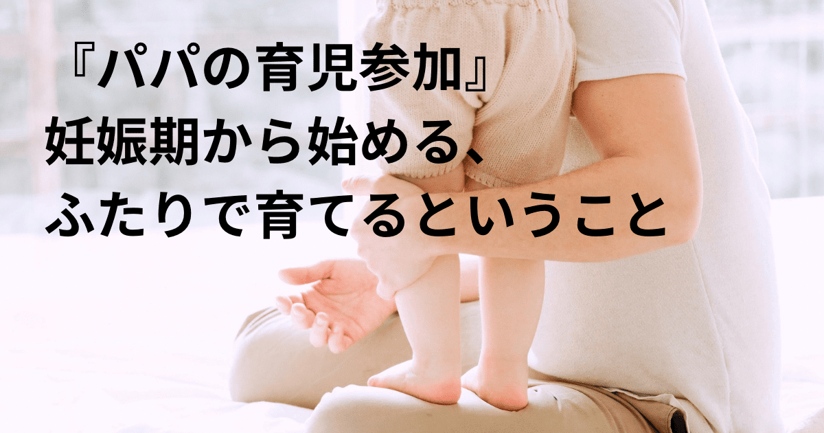 　『パパの育児参加』　妊娠期から始める、ふたりで育てるということ　
