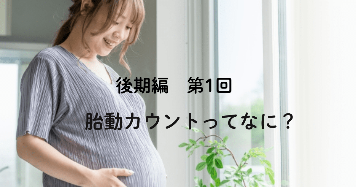 妊娠後期編　第1回　胎動カウントってなに？