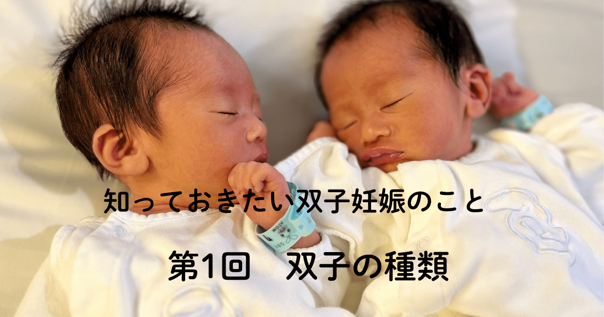 知っておきたい双子妊娠のこと 第1回 双子の種類